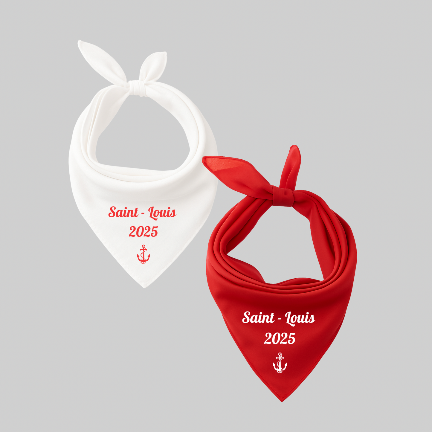 Lot de 2 foulards